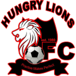 比勒陀利亚大学